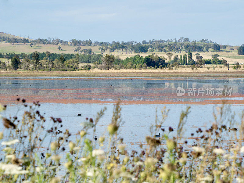 Dangar的泻湖景观- Uralla，新南威尔士州